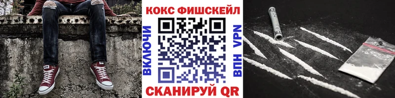 COCAIN FishScale  Купить закладки  Верхняя Салда 