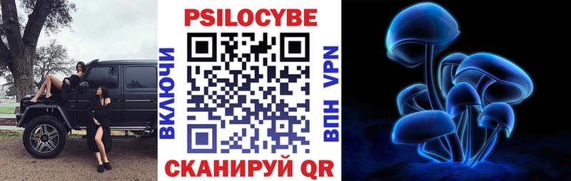 Псилоцибиновые грибы Psilocybine cubensis  Купить где  Верхняя Салда 